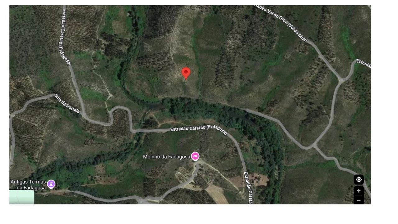 Terreno Agricola ou Rústico para Venda em Envendos Foto 4