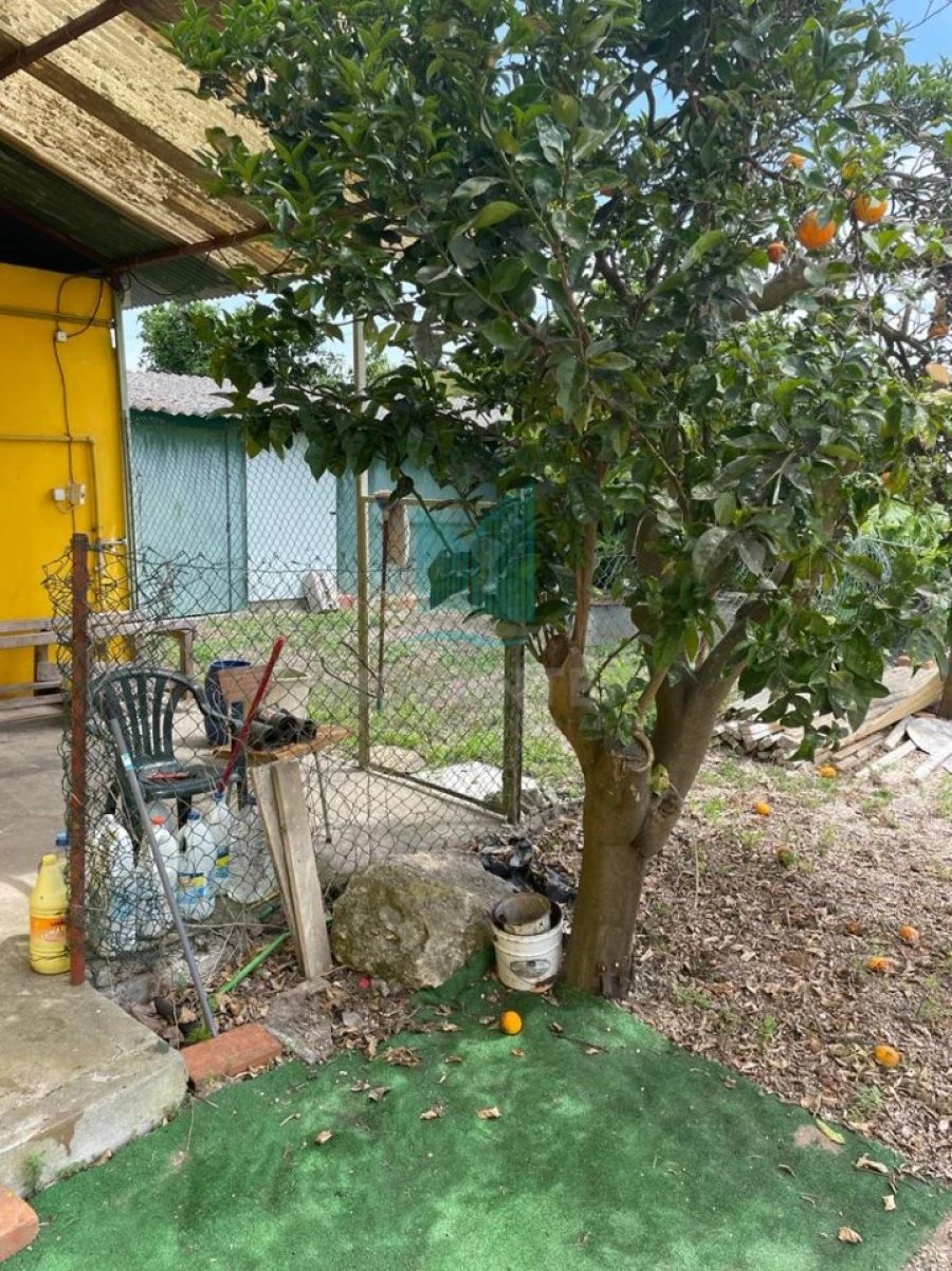 Negócio para Venda em Lavos Foto 33