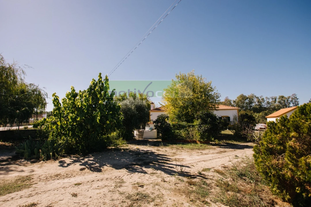 Quinta T4 para Venda em Coruche, Fajarda e Erra Foto 37