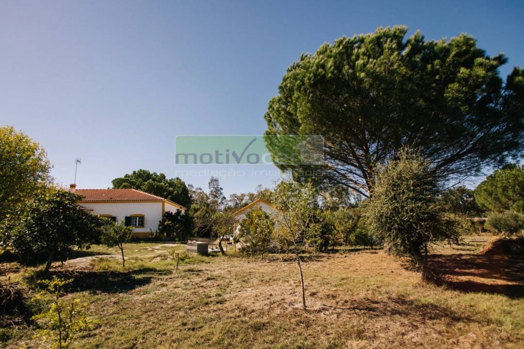 Quinta T4 para Venda em Coruche, Fajarda e Erra Foto 39