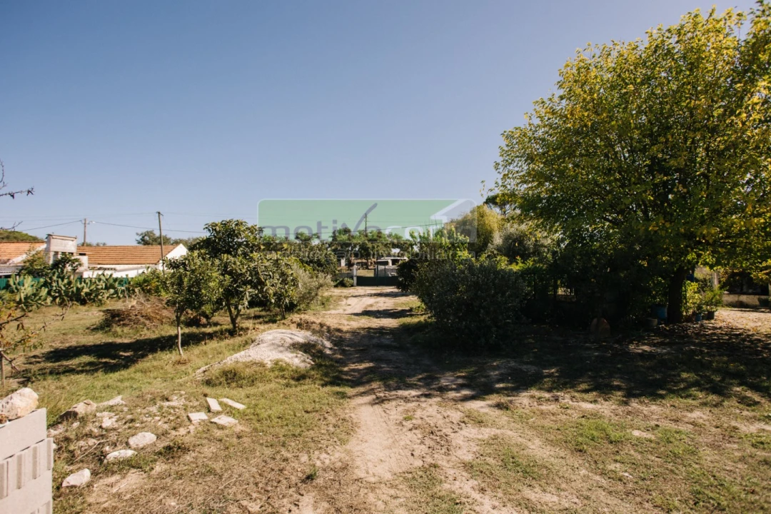 Quinta T4 para Venda em Coruche, Fajarda e Erra Foto 41
