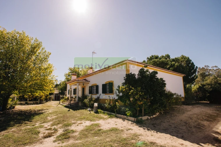 Quinta T4 para Venda em Coruche, Fajarda e Erra Foto 30