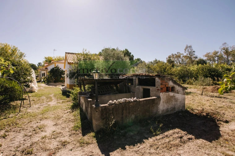 Quinta T4 para Venda em Coruche, Fajarda e Erra Foto 40