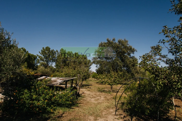 Quinta T4 para Venda em Coruche, Fajarda e Erra Foto 42