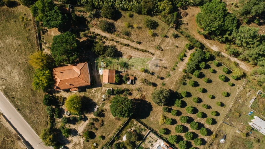 Quinta T4 para Venda em Coruche, Fajarda e Erra Foto 48
