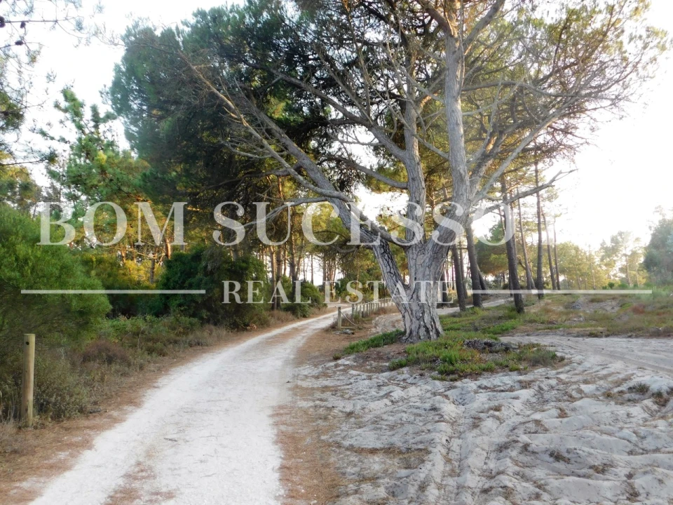 Terreno P/ Prédio para Venda em Vau Foto 13