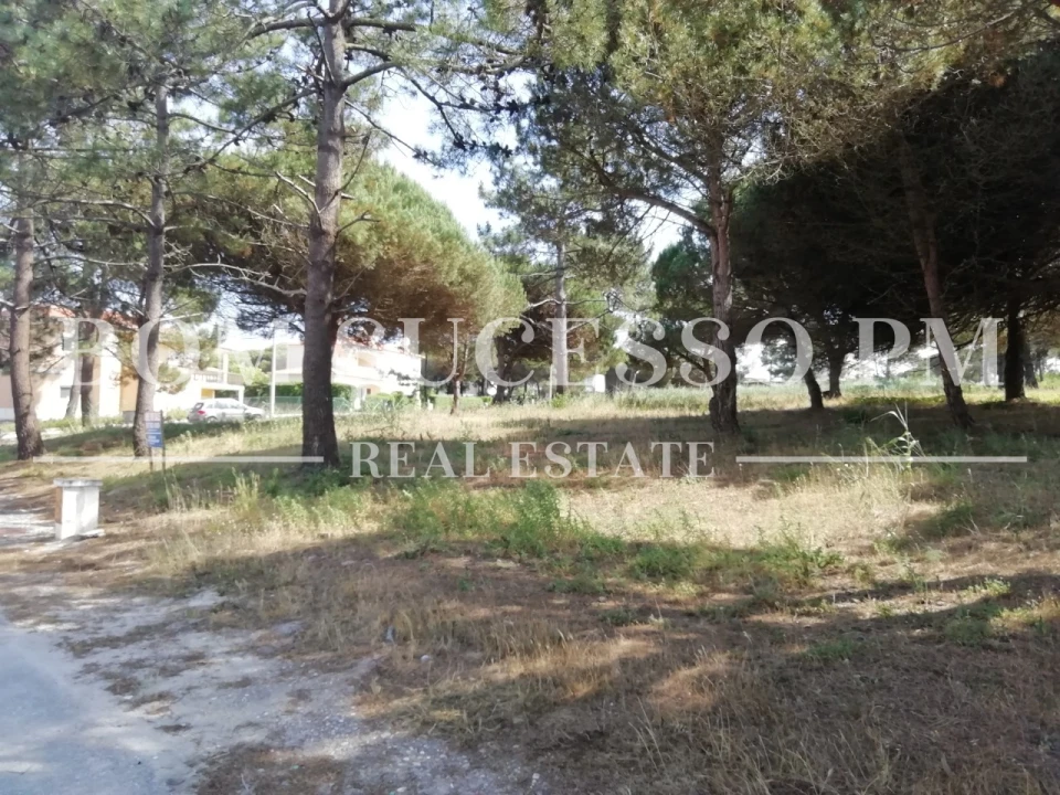 Terreno P/ Prédio para Venda em Vau Foto 6