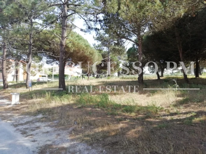 Terreno P/ Prédio para Venda em Vau Foto 6