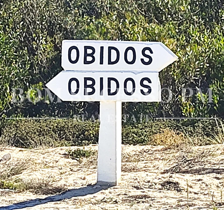 Terreno P/ Prédio para Venda em Vau Foto 20