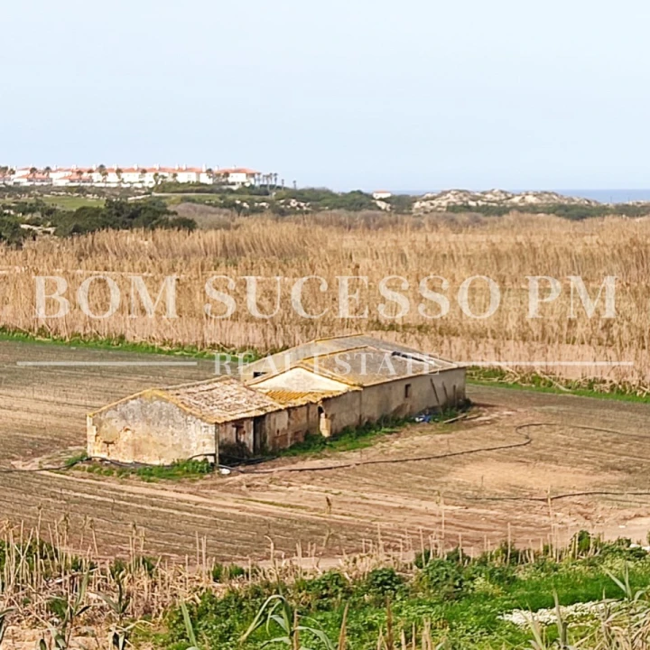 Terreno P/ Prédio para Venda em Amoreira Foto 7