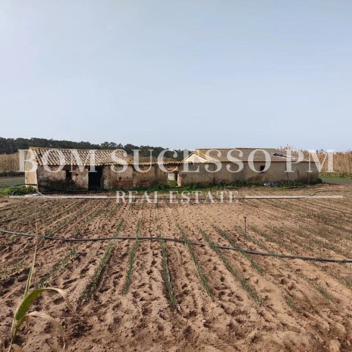 Terreno P/ Prédio para Venda em Amoreira Foto 6