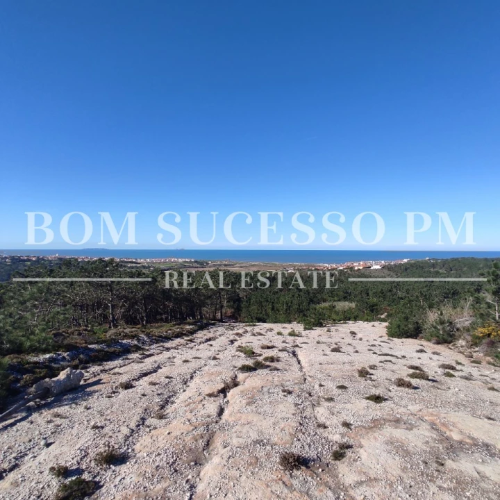 Terreno P/ Prédio para Venda em Amoreira Foto 12