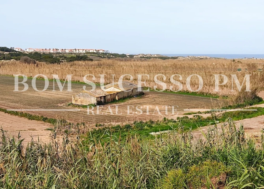 Terreno P/ Prédio para Venda em Amoreira Foto 4
