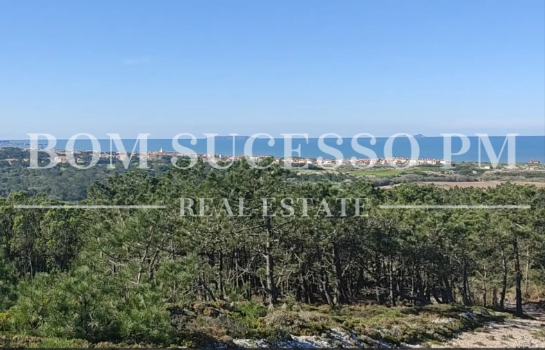 Terreno P/ Prédio para Venda em Amoreira Foto 1