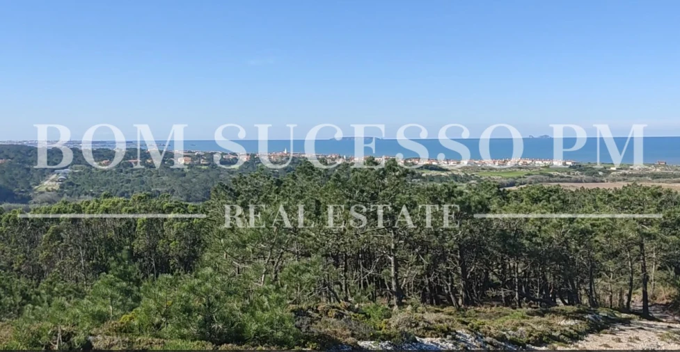 Terreno P/ Prédio para Venda em Amoreira Foto 11