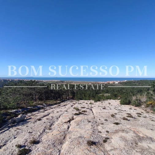 Terreno P/ Prédio para Venda em Amoreira Foto 12