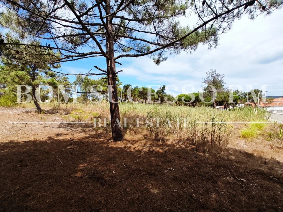 Terreno P/ Prédio para Venda em Vau Foto 8