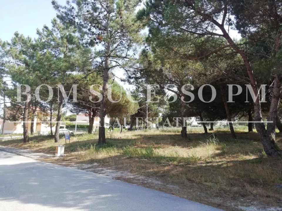 Terreno P/ Prédio para Venda em Vau Foto 3