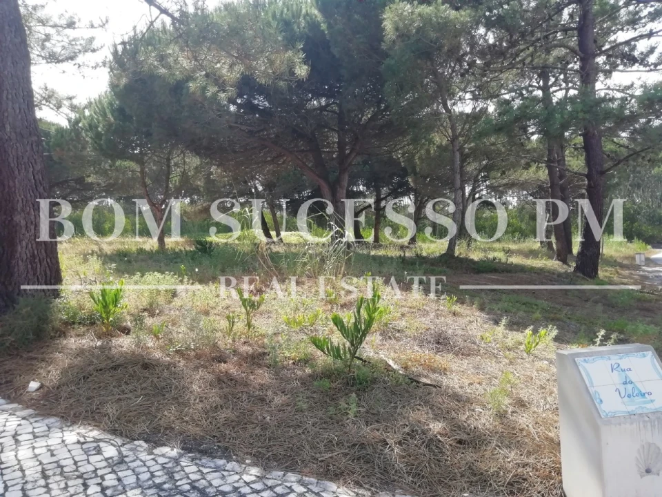 Terreno P/ Prédio para Venda em Vau Foto 9