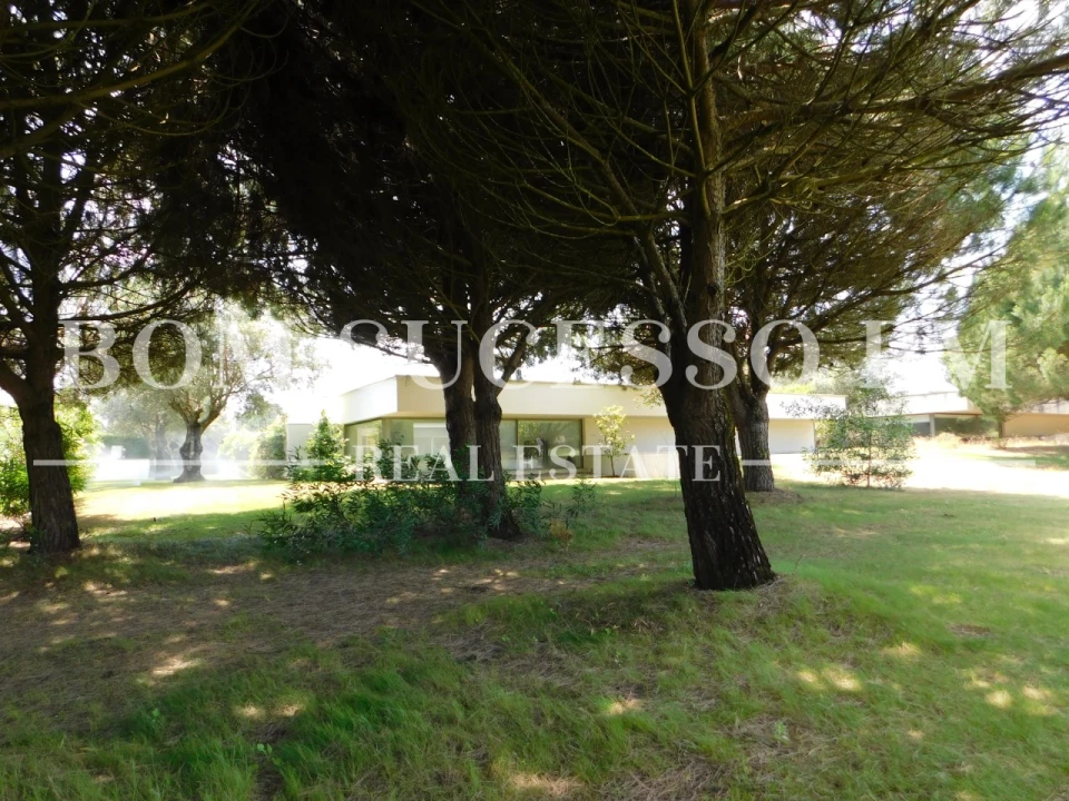 Moradia T3 para Venda em Vau Foto 30