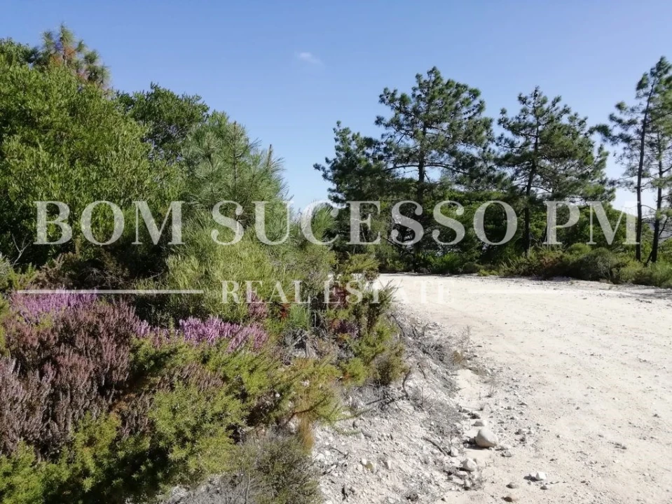 Terreno P/ Prédio para Venda em Vau Foto 18