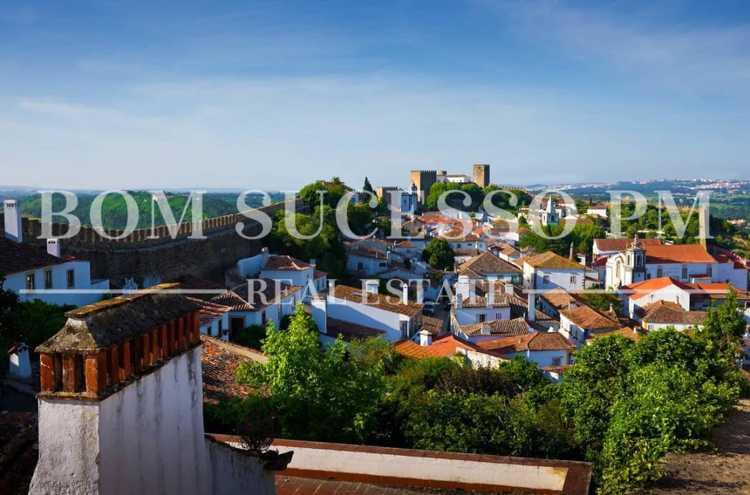 Terreno P/ Prédio para Venda em Vau Foto 23