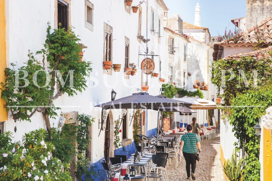 Terreno P/ Prédio para Venda em Vau Foto 24