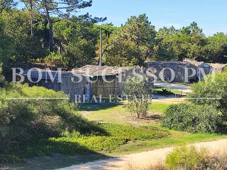 Terreno P/ Prédio para Venda em Vau Foto 14