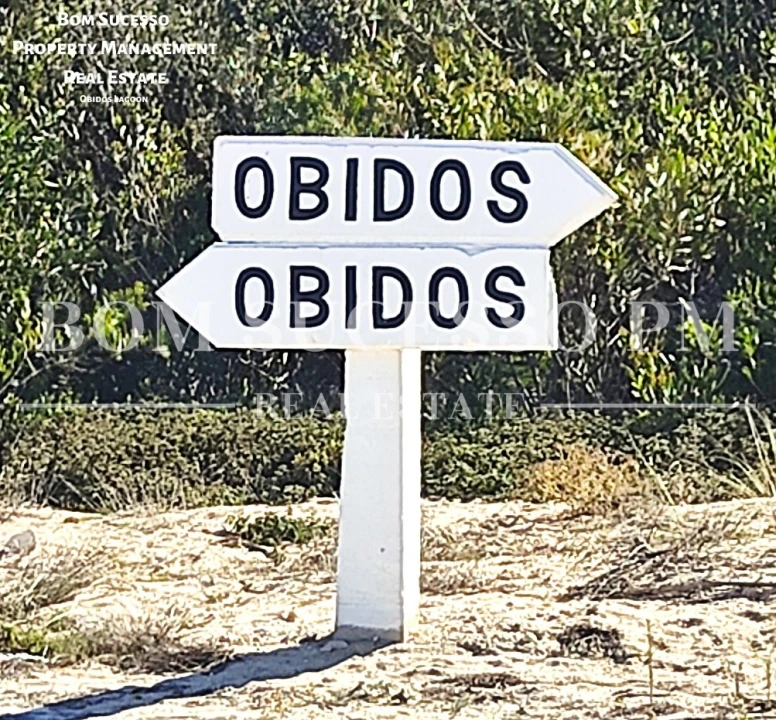 Terreno P/ Prédio para Venda em Vau Foto 16