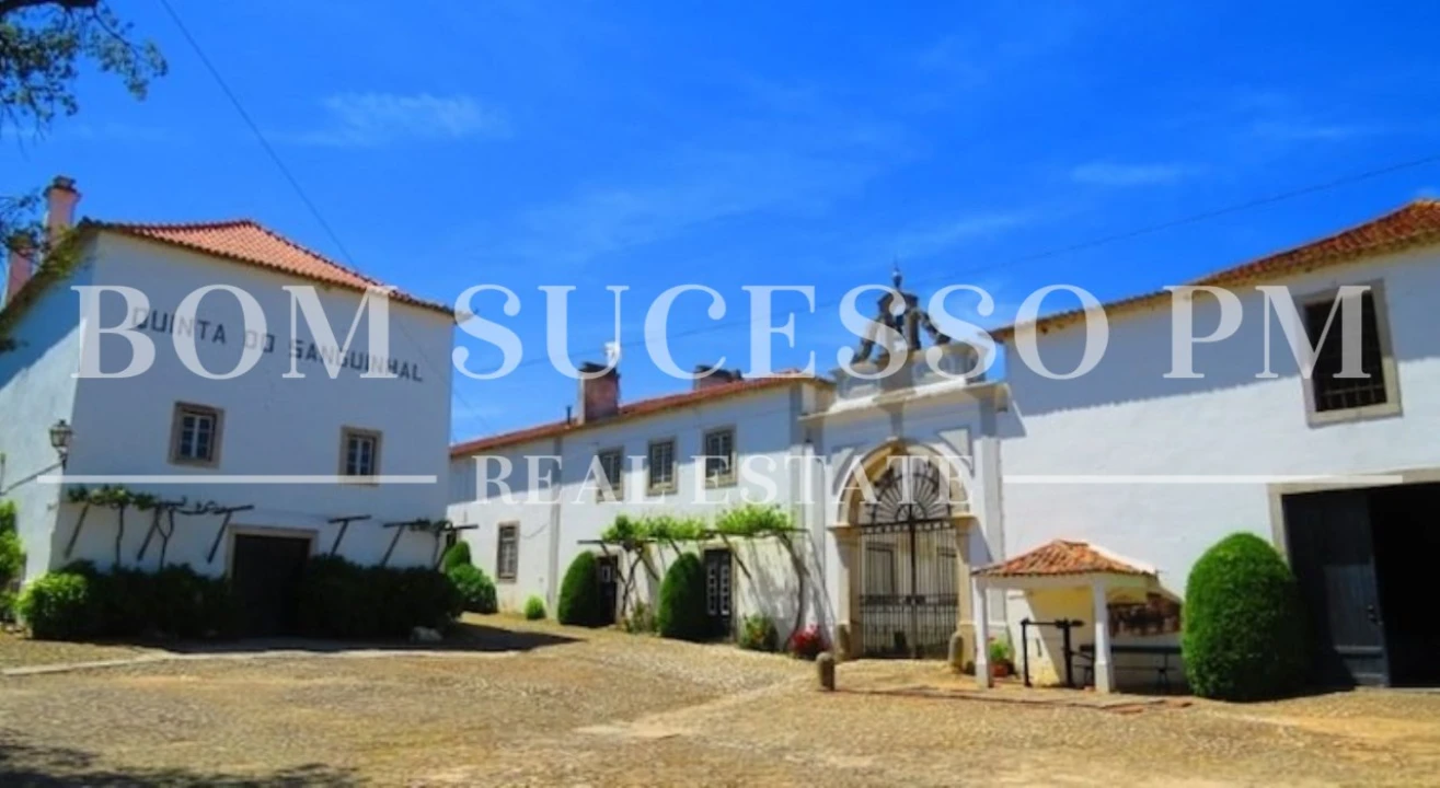 Terreno P/ Prédio para Venda em Vau Foto 29