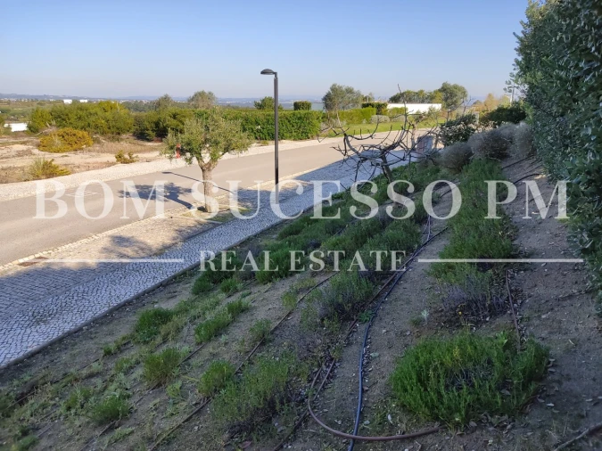 Terreno P/ Prédio para Venda em Vau Foto 4