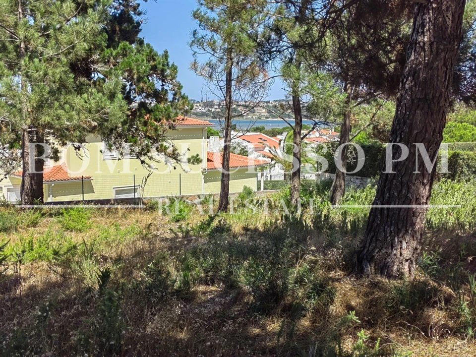 Terreno P/ Prédio para Venda em Vau Foto 3