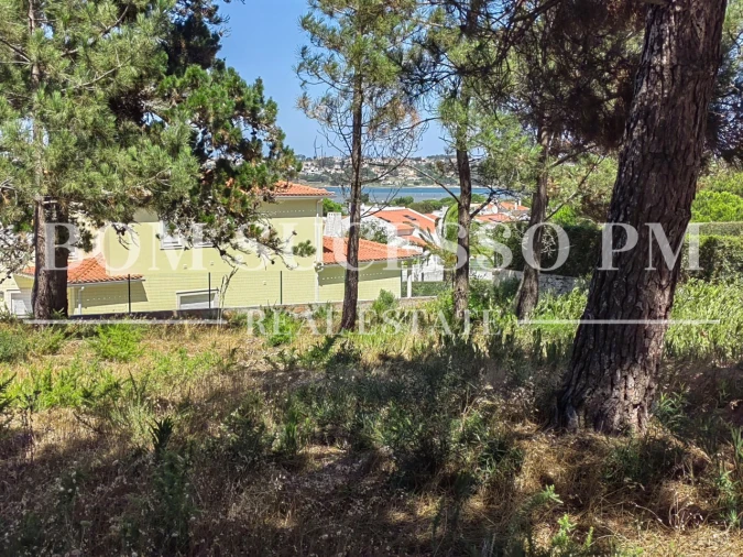 Terreno P/ Prédio para Venda em Vau Foto 3