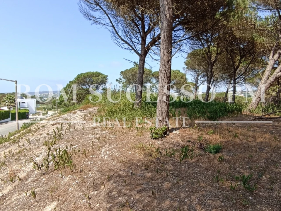 Terreno P/ Prédio para Venda em Vau Foto 5