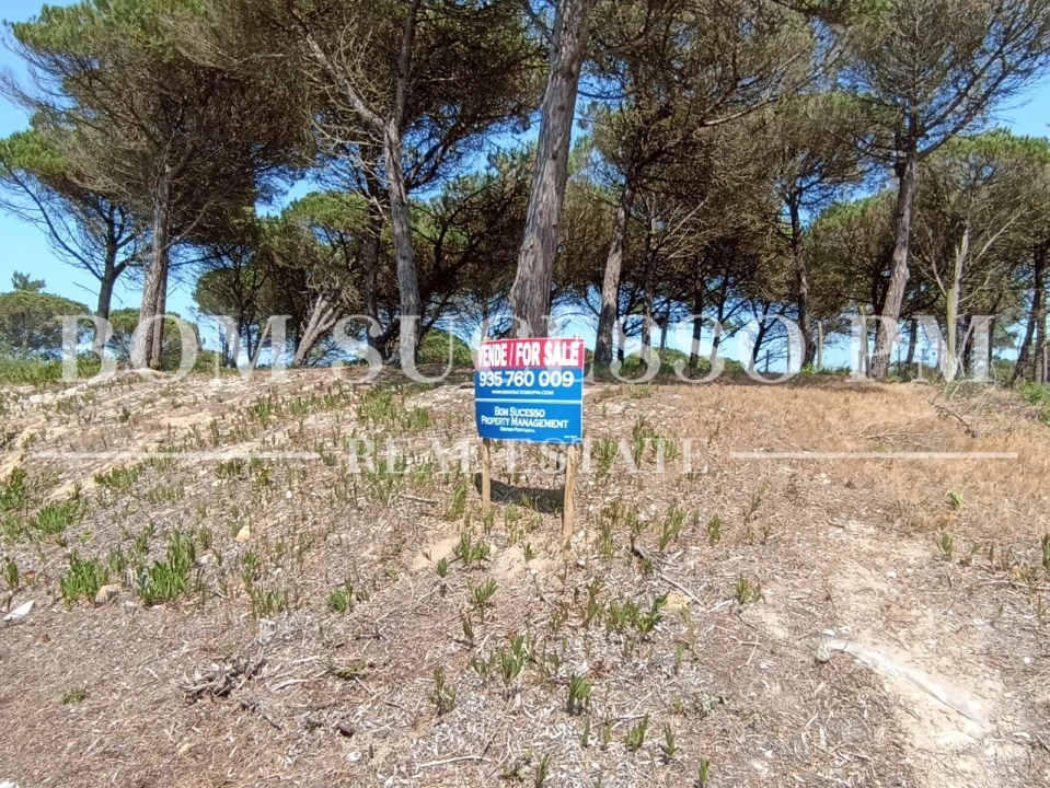 Terreno P/ Prédio para Venda em Vau Foto 10