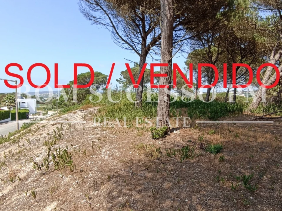 Terreno P/ Prédio para Venda em Vau Foto 1