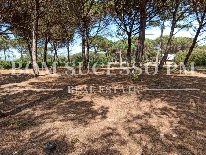 Terreno P/ Prédio para Venda em Vau Foto 3