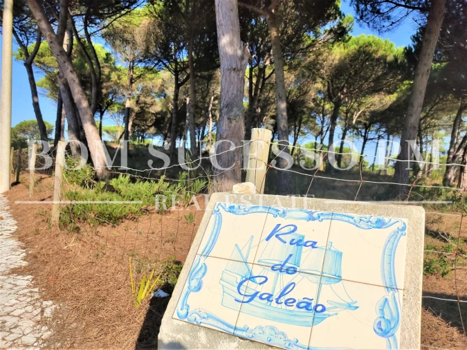 Terreno P/ Prédio para Venda em Vau Foto 6