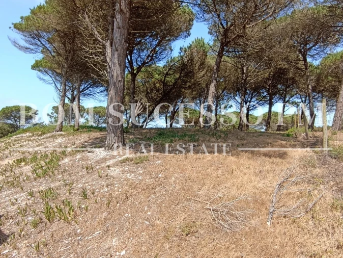 Terreno P/ Prédio para Venda em Vau Foto 9