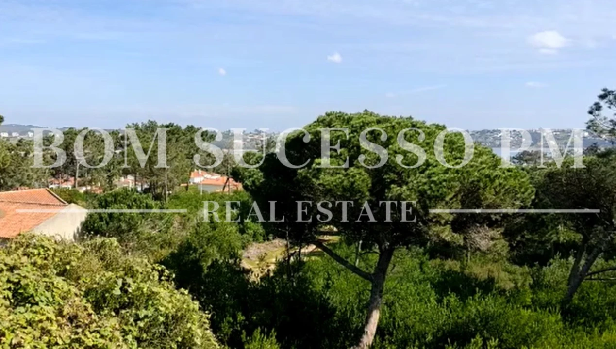 Terreno P/ Prédio para Venda em Vau Foto 5