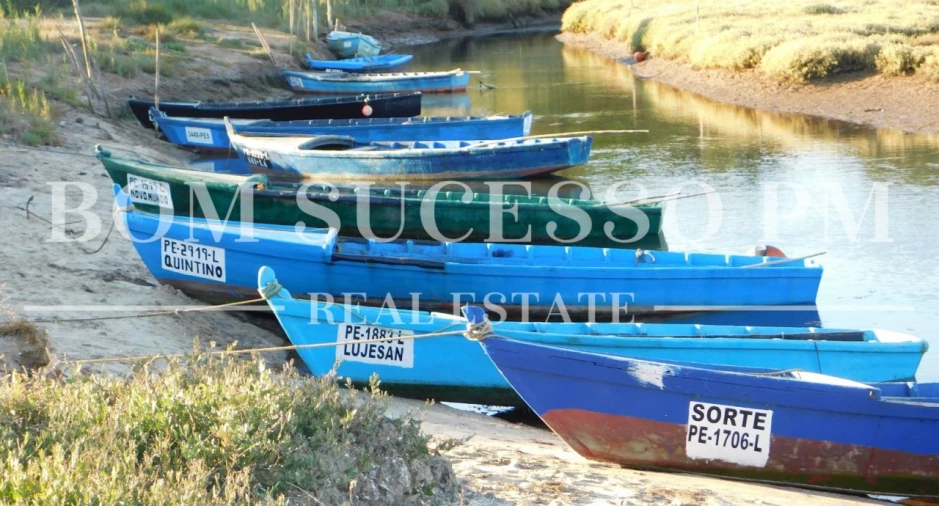 Terreno P/ Prédio para Venda em Vau Foto 19