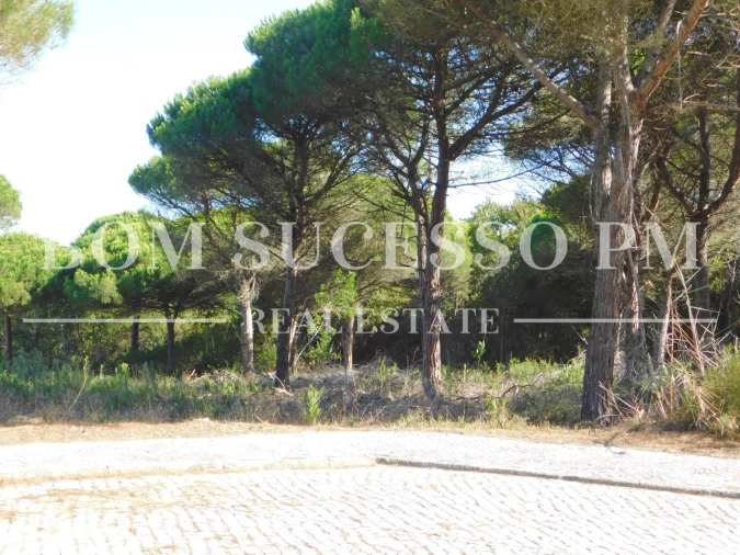 Terreno P/ Prédio para Venda em Vau Foto 2