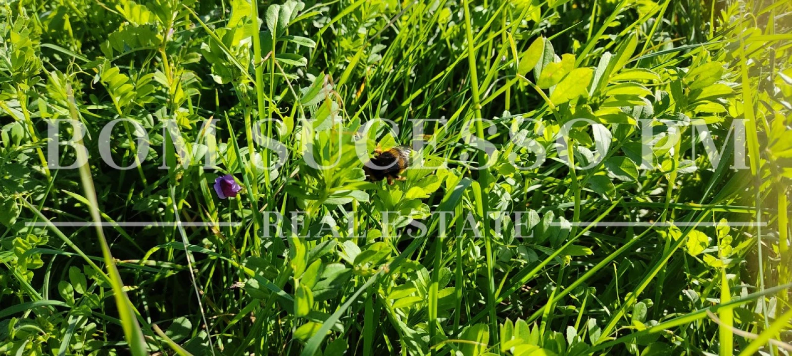 Terreno para Venda em Carvalhal Foto 31