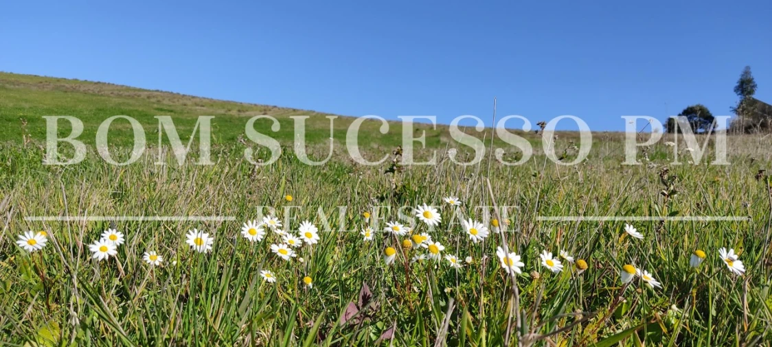Terreno para Venda em Carvalhal Foto 4