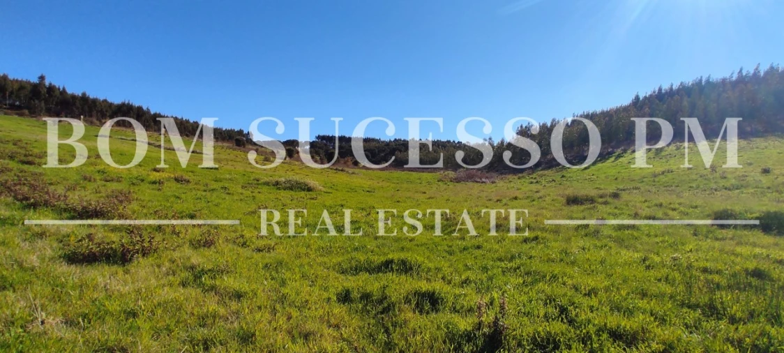 Terreno para Venda em Carvalhal Foto 2