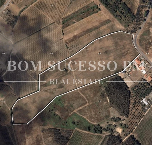 Terreno para Venda em Carvalhal Foto 3