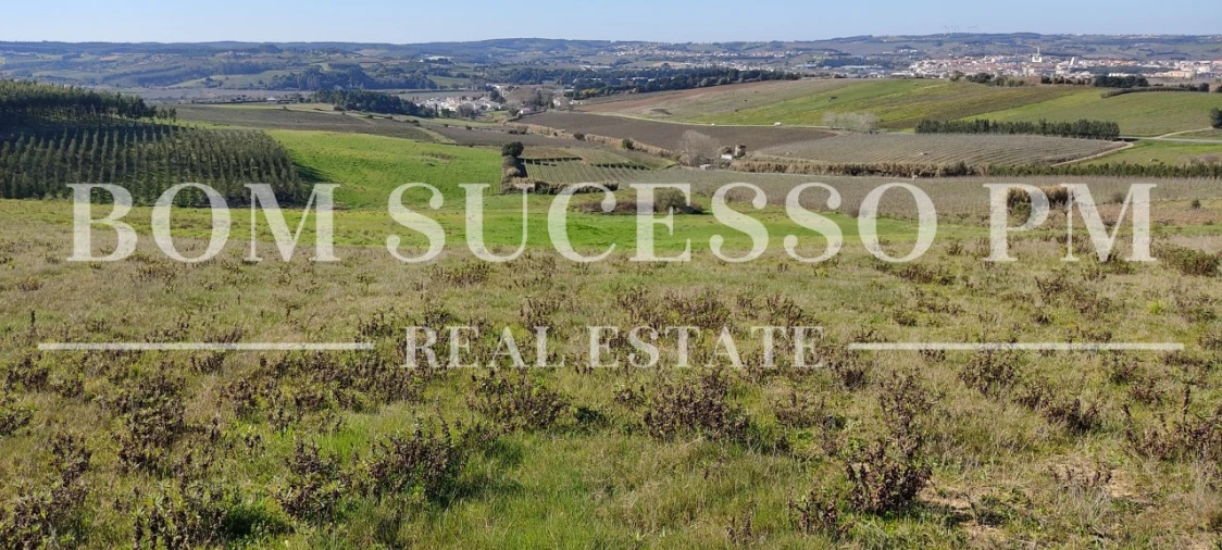 Terreno para Venda em Carvalhal Foto 13