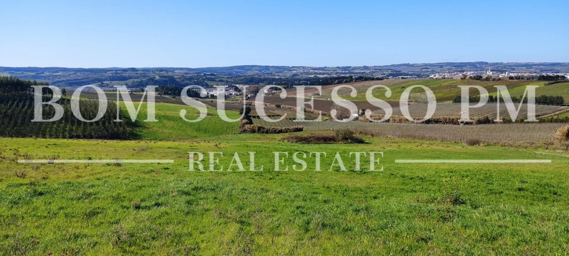 Terreno para Venda em Carvalhal Foto 16