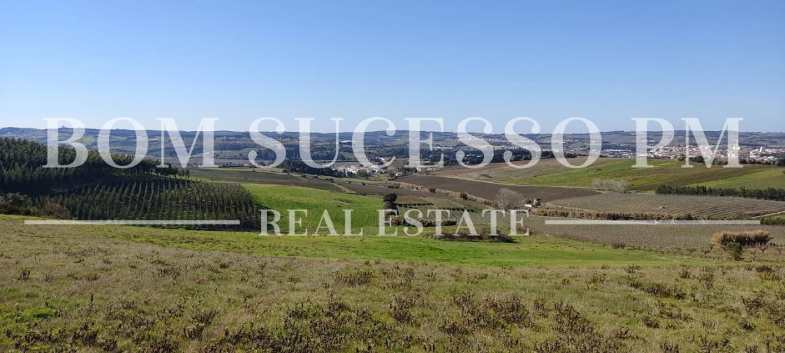 Terreno para Venda em Carvalhal Foto 17