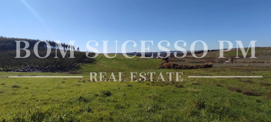 Terreno para Venda em Carvalhal Foto 19